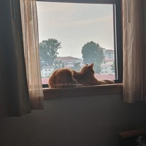 Meet your Posher, Patrick